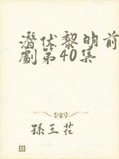 潜伏黎明前电视剧第40集