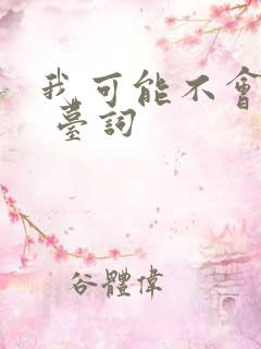 我可能不会爱你 台词