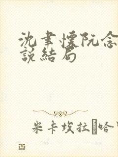 沈聿怀阮念一小说结局