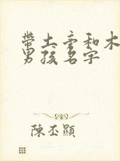 带土旁和木旁的男孩名字