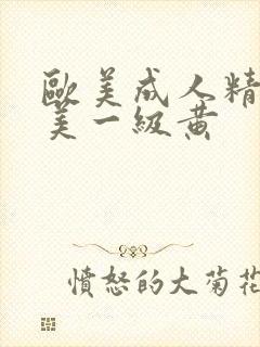 欧美成人精品欧美一级黄