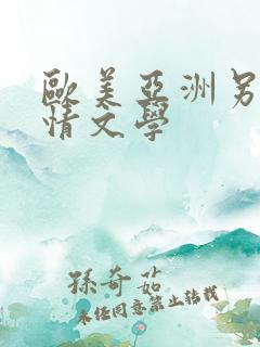 欧美亚洲另类激情文学