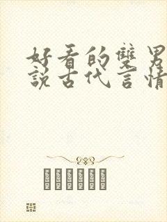 好看的双男主小说古代言情