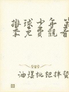 排球少年 第二季免费观看高清