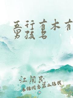 五行有木有水的男孩名