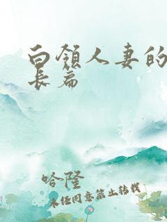 白领人妻的沉沦长篇