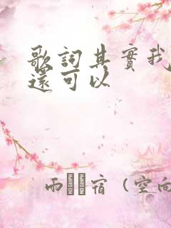 歌词其实我过得还可以