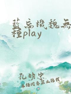 蓝忘机魏无羡各种play