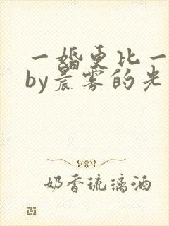 一婚更比一婚高by晨雾的光