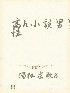 高h小说男男双性