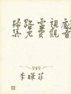 归路电视剧30集免费观看