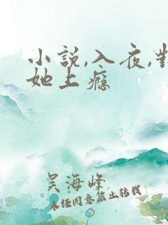 小说,入夜,对她上瘾