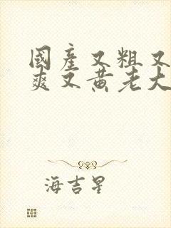 国产又粗又猛又爽又黄老大爷