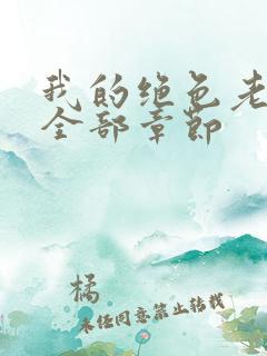 我的绝色老板娘全部章节