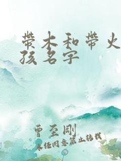 带木和带火的女孩名字