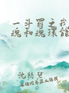 一斗罗之我的武魂和魂环能自己修炼