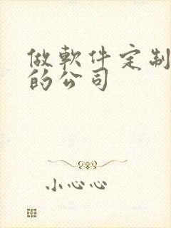 做软件定制开发的公司