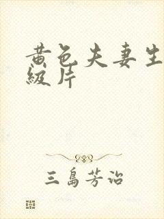 黄色夫妻生活一级片