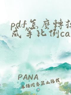pdf怎么转换成等比例cad