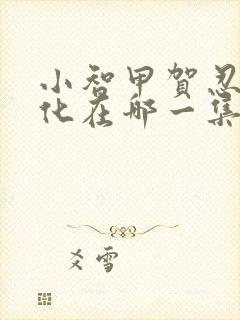 小智甲贺忍蛙进化在哪一集