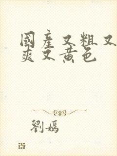 国产又粗又猛又爽又黄色