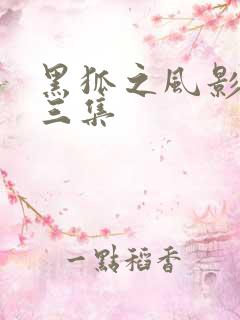 黑狐之风影第十三集