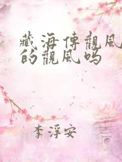 藏海传观风是真的观风吗