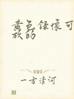 黄色录像可以播放的