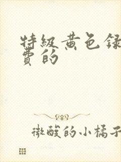 特级黄色录像免费的