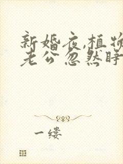 新婚夜,植物人老公忽然睁开眼简默全文