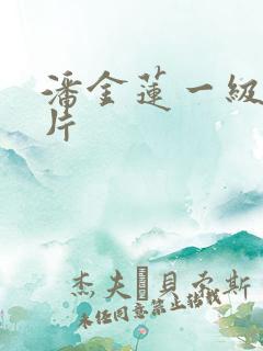 潘金莲一级a看片