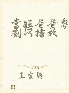 当旺爸爸粤语港剧网播放