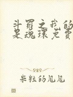 斗罗之我的武魂是魂环免费全文阅读