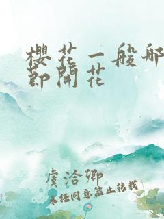 樱花一般哪个季节开花