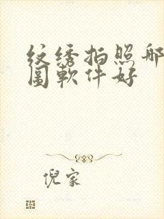 纹绣拍照哪个修图软件好