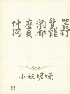 什么浏览器任何网页都能打开