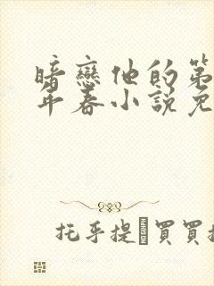 暗恋他的第十一年春小说免费阅读