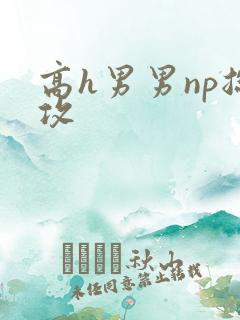 高h男男np总攻