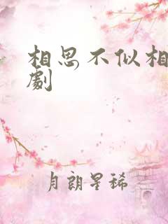 相思不似相逢短剧