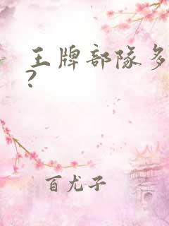 王牌部队多少集?