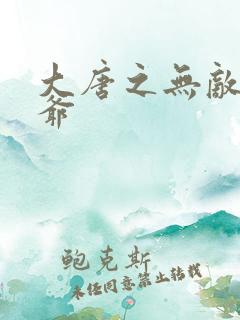 大唐之无敌太子爷