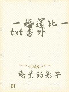 一婚还比一婚高txt番外