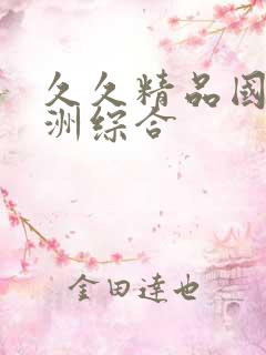 久久精品国产亚洲综合