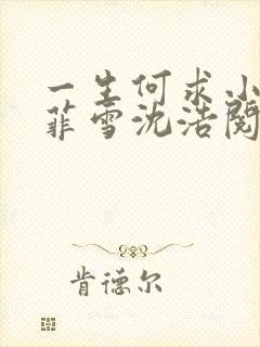 一生何求小说秦菲雪沈浩阅读