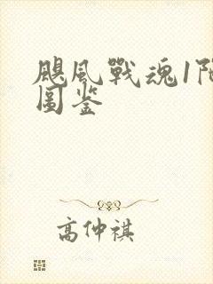 飓风战魂1陀螺图鉴