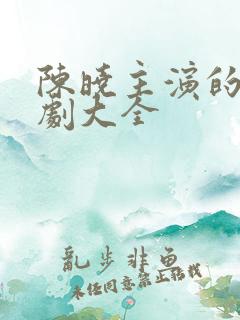 陈晓主演的电视剧大全