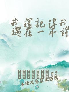 我还记得我们相遇在一年前是什么歌