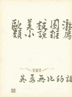 欧美校园激情另类小说推荐