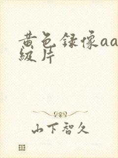 黄色录像aa一级片