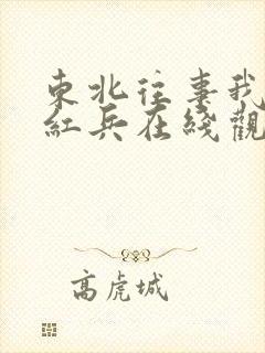 东北往事我叫赵红兵在线观看完整版高清